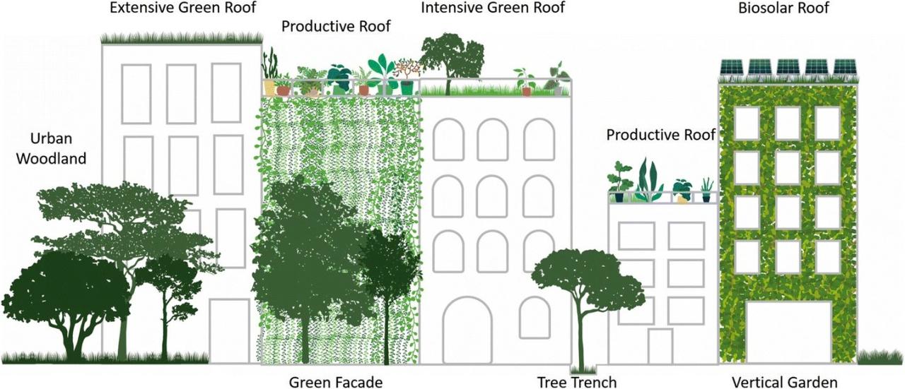 Green Roofs Towards Circular and Resilient Cities - Greenroofs.com AI dan Lingkungan: Panduan Lengkap Solusi Hijau 2025