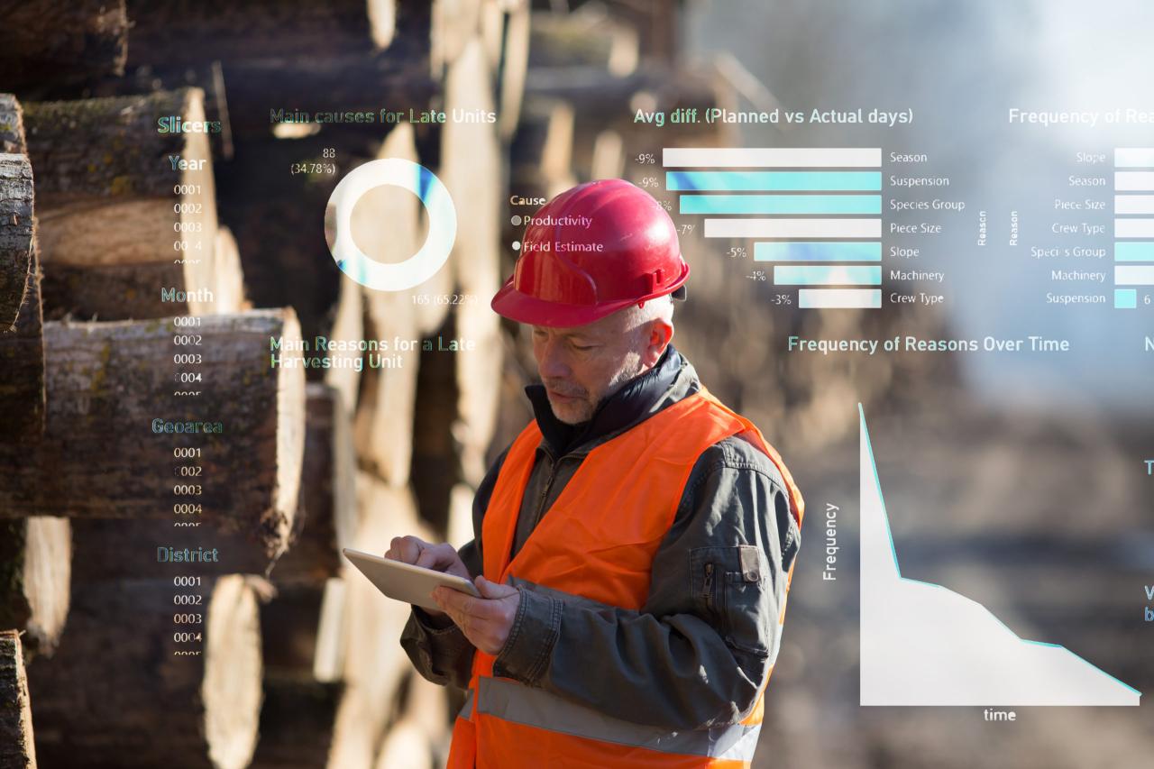 How AI is Supporting Sustainable Forest Management Panduan Lengkap AI 2025 dalam Pengelolaan Hutan
