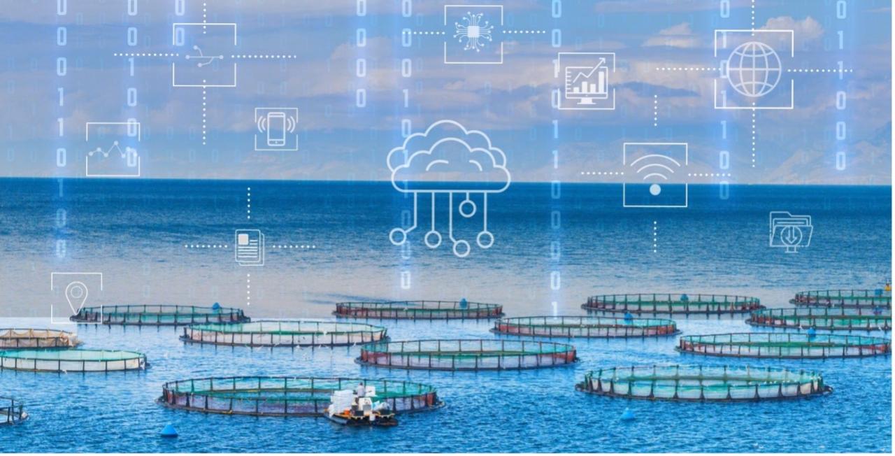 Smart Fishery: A Systematic Review and Research Agenda for Sustainable ... Panduan AI untuk Perikanan Cerdas 2025