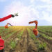 Ai 2025 Untuk Pertanian Modern Panduan Lengkap Petani Digital
